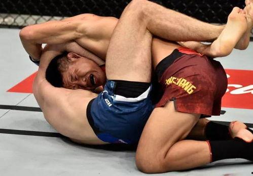 欧美踢裆比赛图片